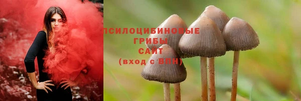 герыч Белокуриха