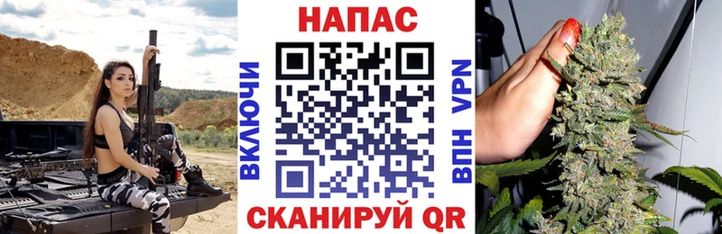 как найти закладки  Новочебоксарск  Бошки марихуана SATIVA & INDICA 